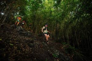 BIB: 
                            <button type="button" onclick="openModal(25098618)" class="btn btn-primary btn-sm float-right btn-popup" data-toggle="modal" data-target=".modal-high-quality">
                        <i class="fas fa-shopping-cart"></i> Add to Cart
                    </button>
                                            <button type="button" onclick="isThisMe(25098618, true)" class="btn btn-success btn-sm float-right btn-popup btn-isme hidden" data-toggle="tooltip" data-placement="bottom" title="นี่คือรูปของคุณใช่ไหม คลิกที่นี่เพื่อเอาเข้าอัลบั้ม">
                        <i class="fas fa-plus"></i> Add to album
                    </button>
                    <button type="button" onclick="isThisMe(25098618, false)" class="btn btn-warning btn-sm float-right btn-popup btn-isnotme hidden">
                        <i class="fas fa-ban"></i> Remove from album
                    </button>